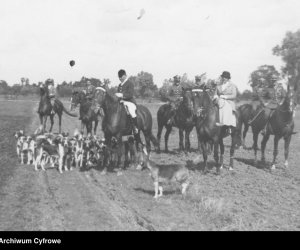 NIECOdziennik Muzealny- Na koń! Hrabia Starzeński i sztuka jazdy konnej NIECOdziennik Muzealny- Na koń! Hrabia Starzeński i sztuka jazdy konnej