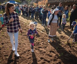 Jesień w polu i zagrodzie - fotorelacja