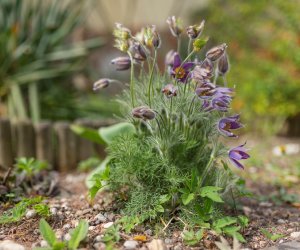 Codziennik Muzealny - Wiosna w ciechanowieckim muzeum Codziennik Muzealny - Wiosna w ciechanowieckim muzeum