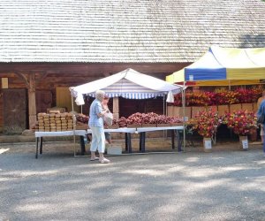 IX Podlaskie Święto Chleba IX Podlaskie Święto Chleba