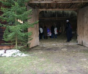 Szopka Bożonarodzeniowa