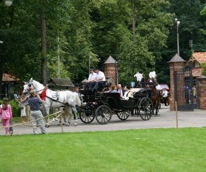 V Zajazd Wysokomazowiecki V Zajazd Wysokomazowiecki