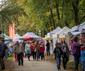 Jesień w Polu i Zagrodzie 2018 - fotorelacja Jesień w Polu i Zagrodzie 2018 - fotorelacja