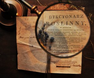 NIECOdziennik muzealny - Skarby lasów, łąk, pól NIECOdziennik muzealny - Skarby lasów, łąk, pól