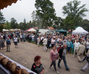 XVII Podlaskie Święto Chleba - fotorelacja XVII Podlaskie Święto Chleba - fotorelacja
