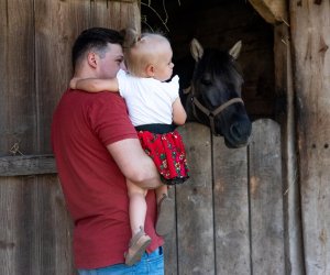 XXI Podlaskie Święto Chleba - fotorelacja XXI Podlaskie Święto Chleba - fotorelacja