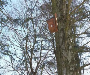 Nowe budki lęgowe w muzealnym parku Nowe budki lęgowe w muzealnym parku