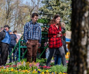 Jarmark św. Wojciecha A.D. 2023 - podsumowanie i fotorelacja Jarmark św. Wojciecha A.D. 2023 - podsumowanie i fotorelacja
