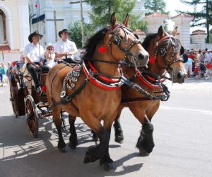 IX Podlaskie Święto Chleba IX Podlaskie Święto Chleba