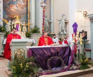 Galeria - Niedziela Palmowa 2015 Galeria - Niedziela Palmowa 2015