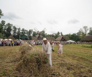 XVII Podlaskie Święto Chleba - fotorelacja XVII Podlaskie Święto Chleba - fotorelacja
