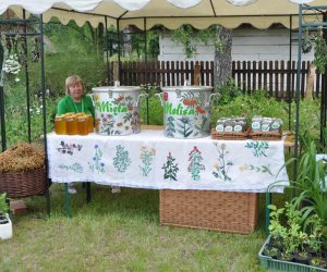 Odpust na św. Antoniego Odpust na św. Antoniego