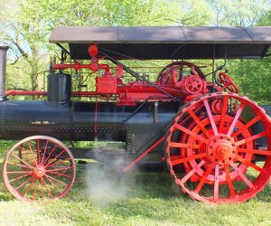 Unikatowe eksponaty w ciechanowieckim Muzeum Unikatowe eksponaty w ciechanowieckim Muzeum