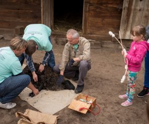 Impreza plenerowa - Jesień w Polu i Zagrodzie Impreza plenerowa - Jesień w Polu i Zagrodzie