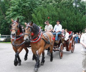 V Zajazd Wysokomazowiecki V Zajazd Wysokomazowiecki