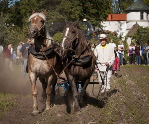JESIEŃ W POLU I ZAGRODZIE w ramach Europejskich Dni Dziedzictwa 18 września 2016 r.