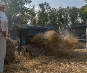 XX Podlaskie Święto Chleba - fotorelacja XX Podlaskie Święto Chleba - fotorelacja