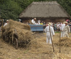 XXIII Podlaskie Święto Chleba - fotorelacja XXIII Podlaskie Święto Chleba - fotorelacja
