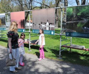 XIV Jarmark Św. Wojciecha i Festyn Leśny