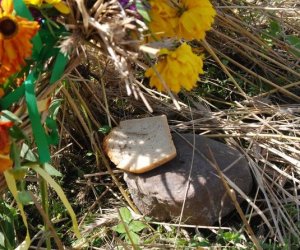 IX Podlaskie Święto Chleba IX Podlaskie Święto Chleba