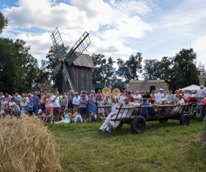 XVIII Podlaskie Święto Chleba - fotorelacja XVIII Podlaskie Święto Chleba - fotorelacja