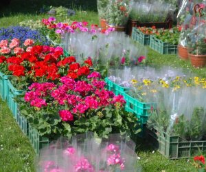 JARMARK ŚWIĘTEGO WOJCIECHA W MUZEUM ROLNICTWA W CIECHANOWCU JARMARK ŚWIĘTEGO WOJCIECHA W MUZEUM ROLNICTWA W CIECHANOWCU