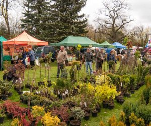 DZIAŁ PROMOCJI DZIAŁ PROMOCJI