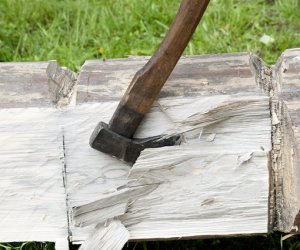 Odpust na św. Antoniego Odpust na św. Antoniego