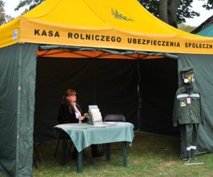 Wykopki w Skansenie Wykopki w Skansenie