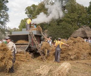 XVI Podlaskie Święto Chleba XVI Podlaskie Święto Chleba