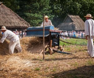 XVIII Podlaskie Święto Chleba - fotorelacja XVIII Podlaskie Święto Chleba - fotorelacja