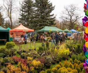 Jarmark św. Wojciecha 2016 Jarmark św. Wojciecha 2016