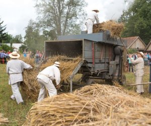 XVII Podlaskie Święto Chleba - fotorelacja XVII Podlaskie Święto Chleba - fotorelacja