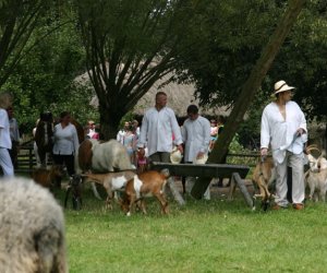 VII PODLASKIE ŚWIĘTO CHLEBA VII PODLASKIE ŚWIĘTO CHLEBA