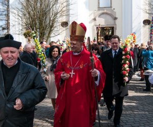 Galeria - Niedziela Palmowa 2015 Galeria - Niedziela Palmowa 2015