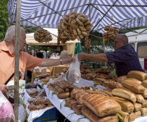 XVI Podlaskie Święto Chleba XVI Podlaskie Święto Chleba