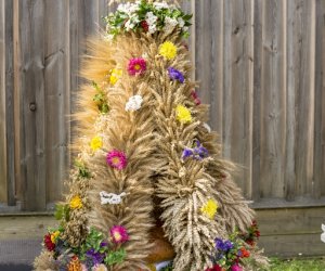 XX Podlaskie Święto Chleba - fotorelacja XX Podlaskie Święto Chleba - fotorelacja