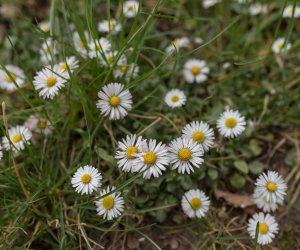 Codziennik Muzealny - Wiosna w ciechanowieckim muzeum Codziennik Muzealny - Wiosna w ciechanowieckim muzeum