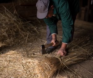 Impreza plenerowa - Jesień w Polu i Zagrodzie Impreza plenerowa - Jesień w Polu i Zagrodzie