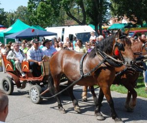 IX Podlaskie Święto Chleba IX Podlaskie Święto Chleba