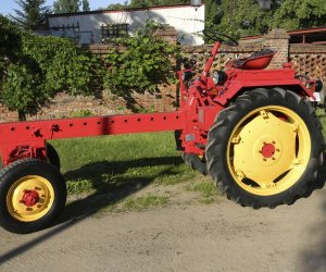 Wyglądają przepięknie Wyglądają przepięknie