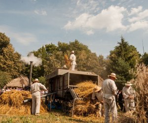 Święto Chleba po raz trzynasty Święto Chleba po raz trzynasty