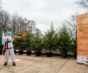 Galeria z 5 grudnia 2015 Galeria z 5 grudnia 2015