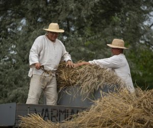 XXIII Podlaskie Święto Chleba - fotorelacja XXIII Podlaskie Święto Chleba - fotorelacja