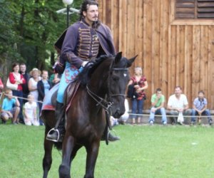 VIII Zajazd Wysokomazowiecki, 15.07.2012.