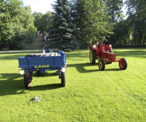 Wyglądają przepięknie Wyglądają przepięknie