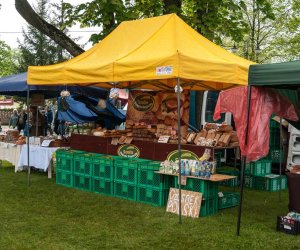 Jarmark św. Wojciecha i Święto Lasu Jarmark św. Wojciecha i Święto Lasu