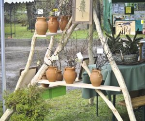 Deszczowy Jarmark Deszczowy Jarmark