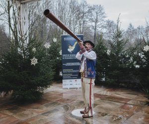 Ligawki 2017 - fotorelacja Ligawki 2017 - fotorelacja