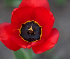 Codziennik Muzealny - Wiosna w ciechanowieckim muzeum Codziennik Muzealny - Wiosna w ciechanowieckim muzeum